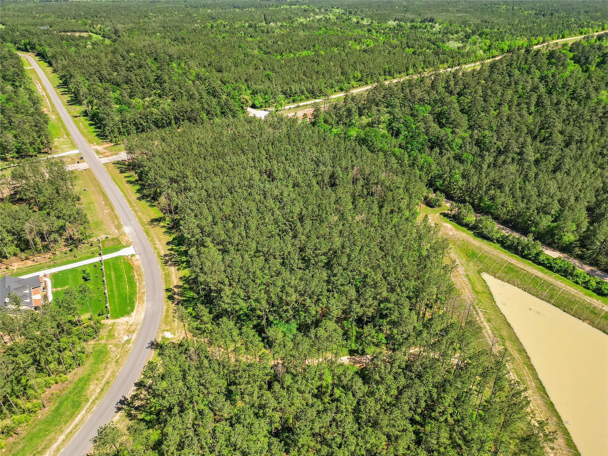Land in Willis 3
