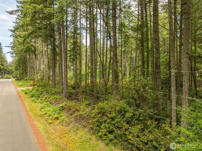 10409 Tahoma Dr, Home with 0 bedrooms, 0 bathrooms and null parking in Anderson Island WA | Image 17