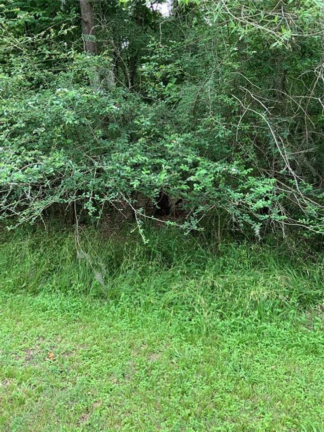 10 Idlewilde Est, Home with 0 bedrooms, 0 bathrooms and null parking in Onalaska TX | Image 5