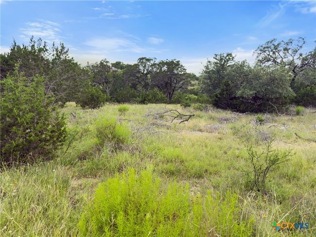 128 Enigma Ave, Home with 0 bedrooms, 0 bathrooms and null parking in Spring Branch TX | Image 5