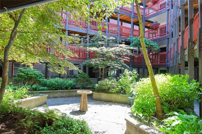 Courtyard within the Whaler building | Image 56