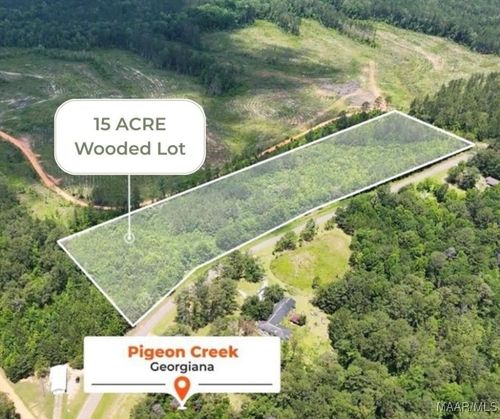 0 Pigeon Creek Road, Georgiana, AL, 36033 | Card Image