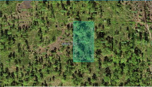 31-32-11-000000-022010 River Ranch Boulevard, Lake Wales, FL, 33898 | Card Image
