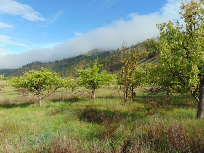 27235 Lazy Springs Rd, Home with 0 bedrooms, 0 bathrooms and null parking in Clinton MT | Image 26