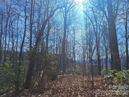 965 Wolf Pen Rd, Old Fort, NC, 28762 | Card Image