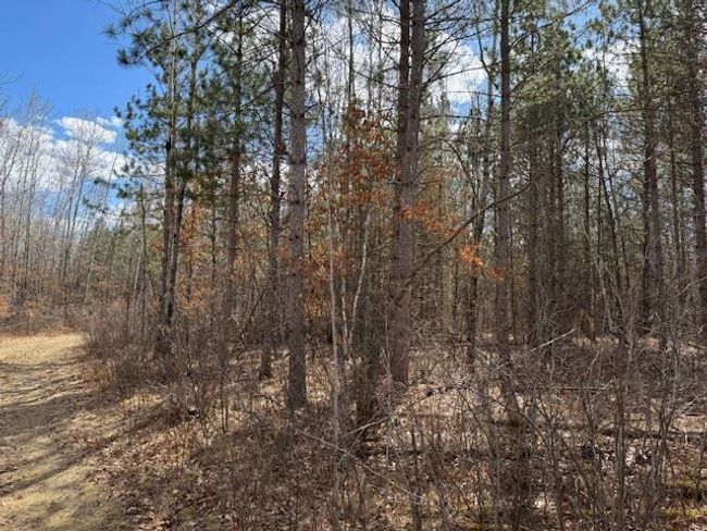 24051 324 Th St, Home with 0 bedrooms, 0 bathrooms and null parking in Sebeka MN | Image 19