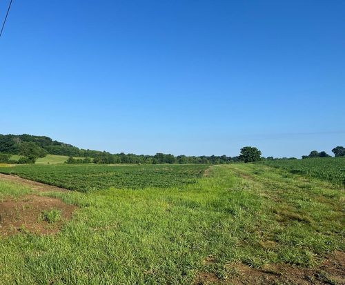 2012 Eagle Way, Hopkinsville, KY, 42240 | Card Image