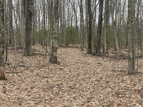 parcel-a-4-V/L W Deer Track Trail, Irons, MI, 49644 | Card Image