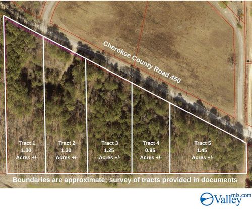 Tract 3 County Road 450, Centre, AL, 35960 | Card Image