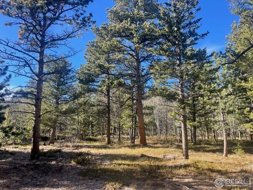 399 N Skinner Rd, Allenspark, CO, 80510 | Card Image
