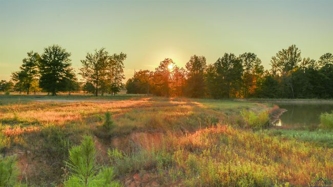 LOT-10-MAJESTIC-OAKS - 156 Majestic Oaks, Home with 0 bedrooms, 0 bathrooms and null parking in De Berry TX | Image 5