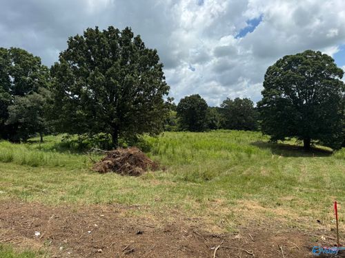 Tract 2 County Road 656, Anderson, AL, 35610 | Card Image