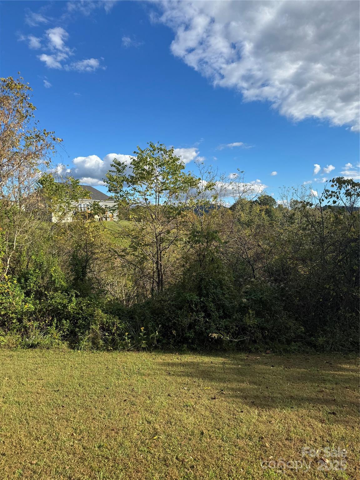 Land in Weaverville
