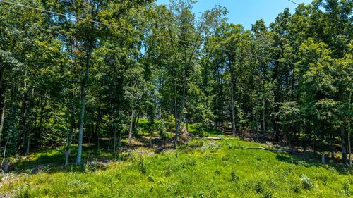 0 Clan Alpine Way, GLASGOW, VA, 24555 | Card Image