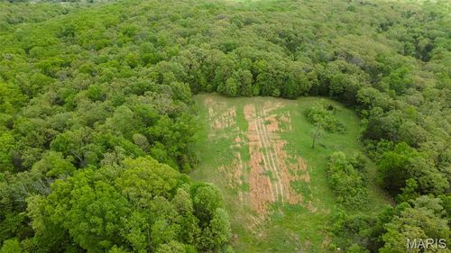 0 Blackberry Hills Rd, Bloomsdale, MO, 63627 | Card Image