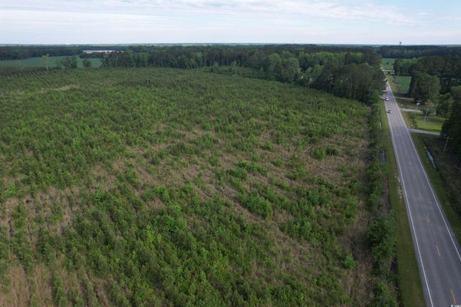 20 Highway 260, Home with 0 bedrooms, 0 bathrooms and null parking in Manning SC | Image 10