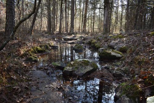 0000 E State Highway 22, Delaware, AR, 72835 | Card Image