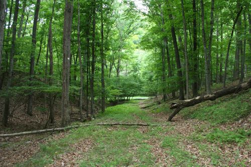 20 High Valley South, MONTEREY, VA, 24465 | Card Image