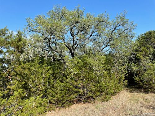 1865 Stallion Springs Dr, Fischer, TX, 78623-1920 | Card Image