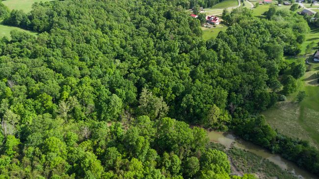 Creek Frontage at back property line | Image 45