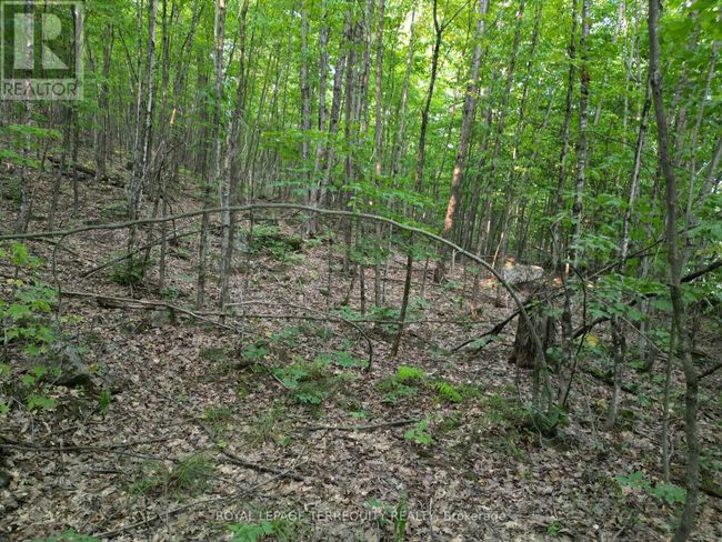 00 Buckslide Rd, Home with 0 bedrooms, 0 bathrooms and null parking in Algonquin Highlands (Stanhope) ON | Image 8