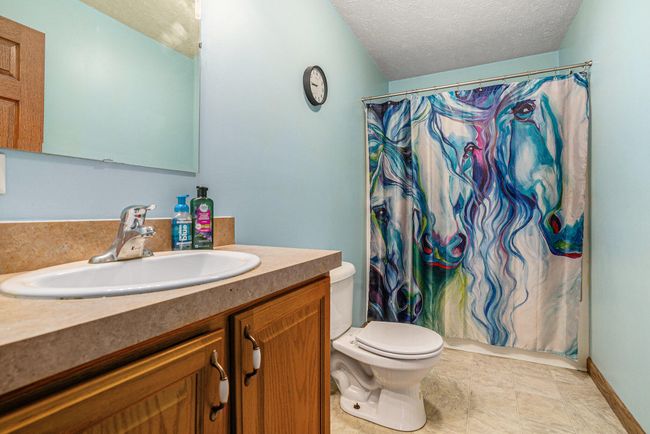 63051 Morel Ln, House other with 4 bedrooms, 2 bathrooms and null parking in Jones MI | Image 13
