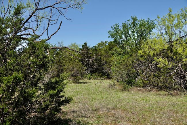 12345 County Road 107, Home with 0 bedrooms, 0 bathrooms and null parking in Mingus TX | Image 37