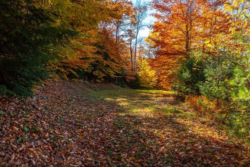 37 Low Rd, Hanover, NH, 03755-2206 | Card Image