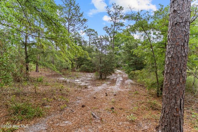 Wooded | Image 7