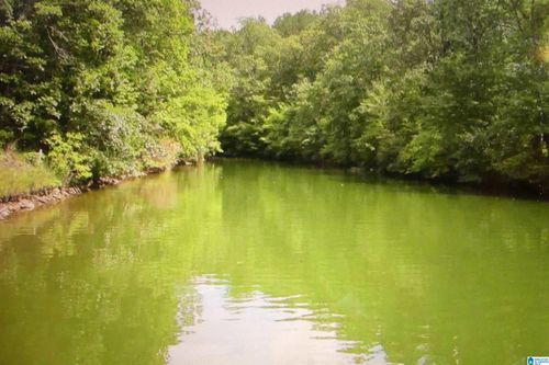 19-LOT 19 Outback Cove Dr, Wedowee, AL, 36278 | Card Image