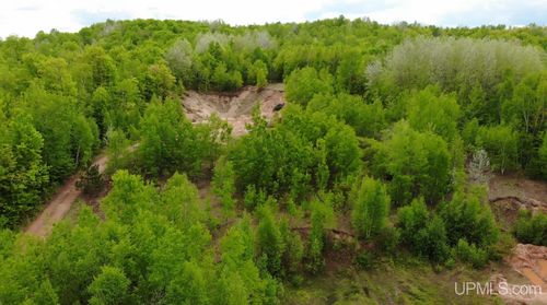 TBD 1 Section Line Road, Trout Creek, MI, 49967 | Card Image