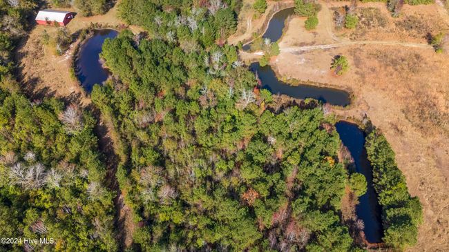 4780 S Us 117 Hwy, Home with 0 bedrooms, 0 bathrooms and null parking in Teachey NC | Image 43
