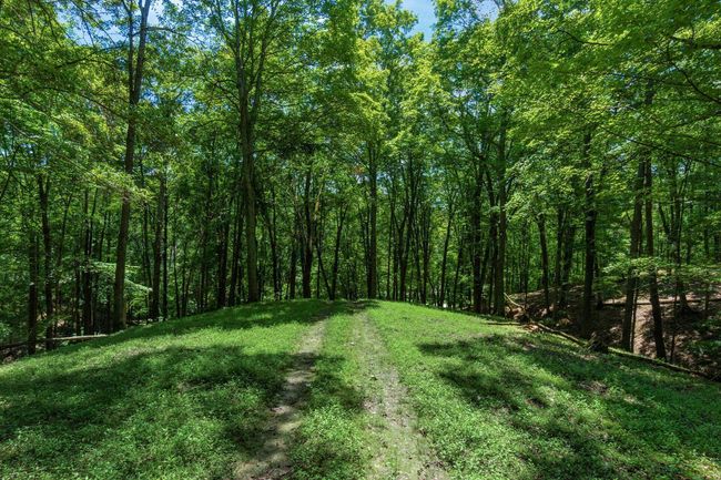 58501 Us Highway 50, Home with 0 bedrooms, 0 bathrooms and null parking in Mc Arthur OH | Image 73