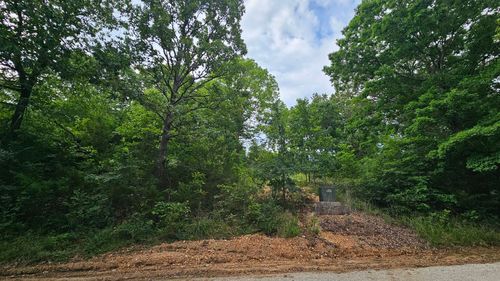 Lot #13 Hanging Branch, Cape Fair, MO, 65624 | Card Image