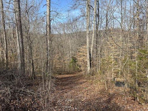 Lot 52 W Bobcat Ln, Wilder, TN, 38589 | Card Image