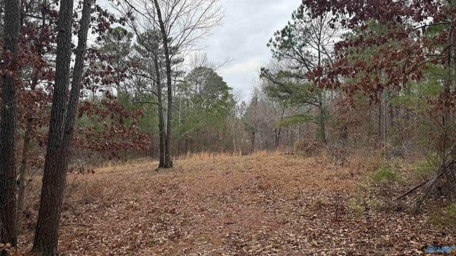 3.6 Acres Hough Rd, Home with 0 bedrooms, 0 bathrooms and null parking in Laceys Spring AL | Image 4