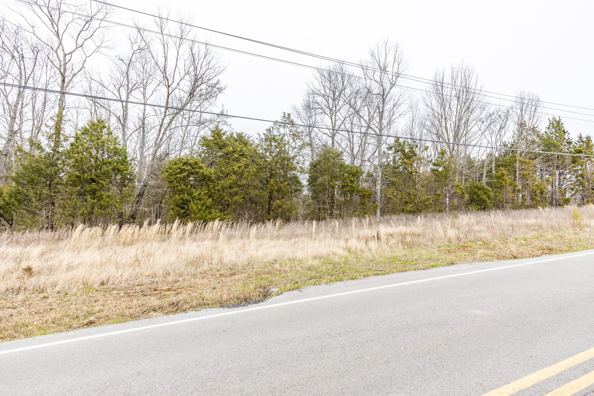 Land in Spring Hill 3