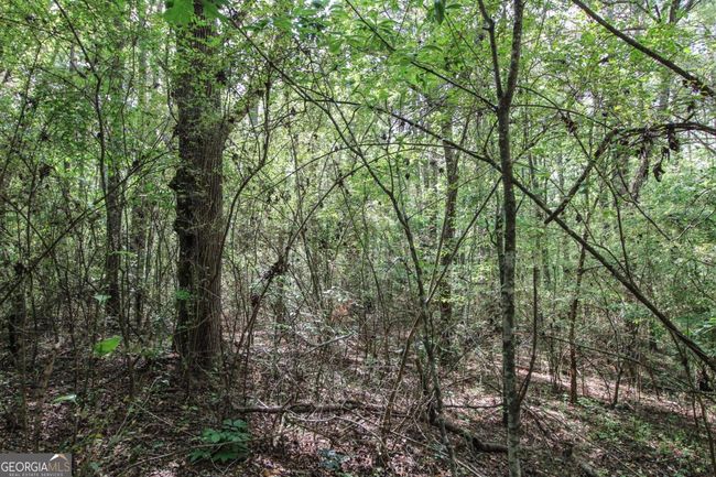 1040 Bridlegate Dr, Home with 0 bedrooms, 0 bathrooms and null parking in Watkinsville GA | Image 6