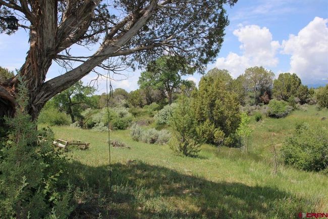 14433 2600 Rd, Home with 0 bedrooms, 0 bathrooms and null parking in Cedaredge CO | Image 21