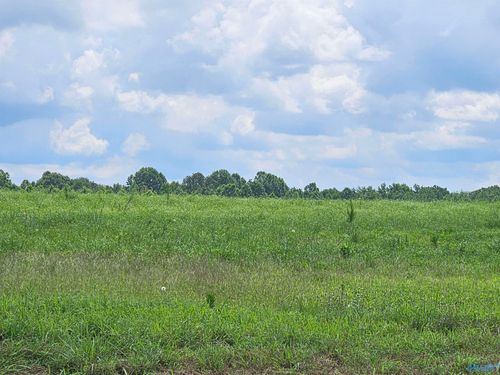 Lot 16 Treva Ln, Hazel Green, AL, 35750 | Card Image