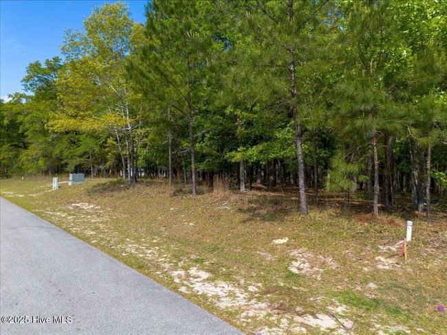 Large wooded lot | Image 5