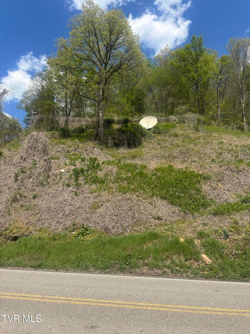 Tbd Dante Mountain Road, McClure, VA, 62957 | Card Image
