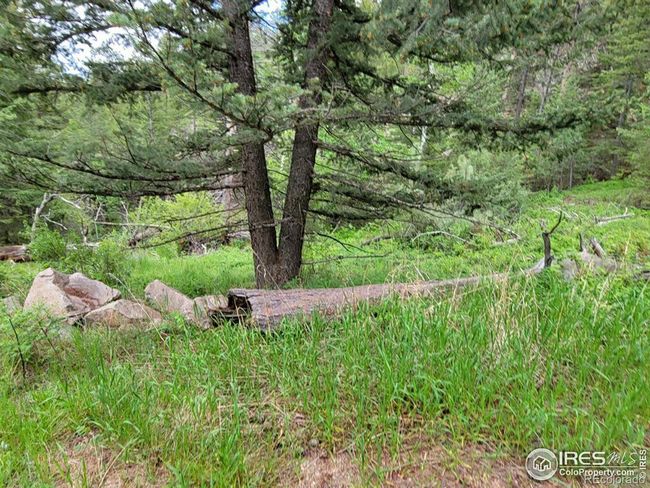 1 Mountain Lion Track Court, Home with 0 bedrooms, 0 bathrooms and null parking in Livermore CO | Image 7
