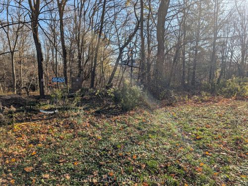 46420 E Methodist St. Street, Central Elgin, ON, N5P3S8 | Card Image