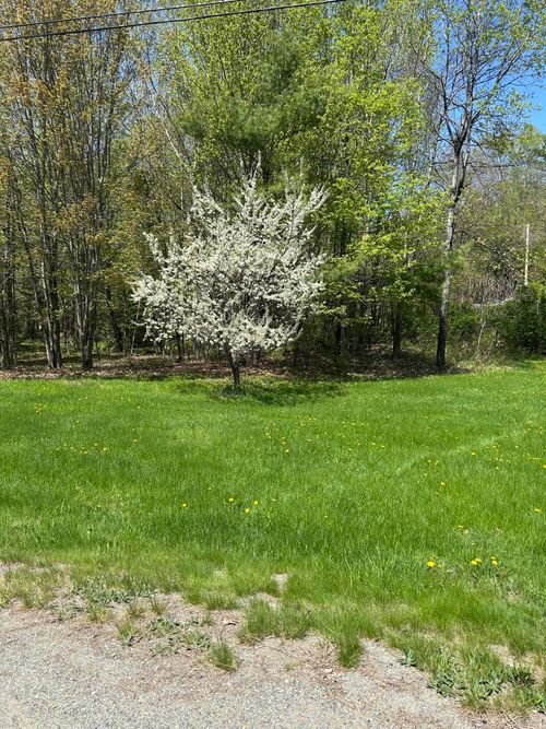 1 Katie Crotch Road, Embden, ME, 04958 | Card Image
