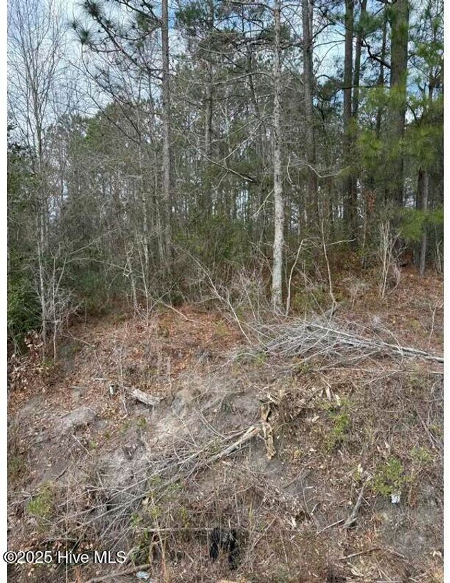 476 Dothan Road, Home with 0 bedrooms, 0 bathrooms and null parking in Tabor City NC | Image 6