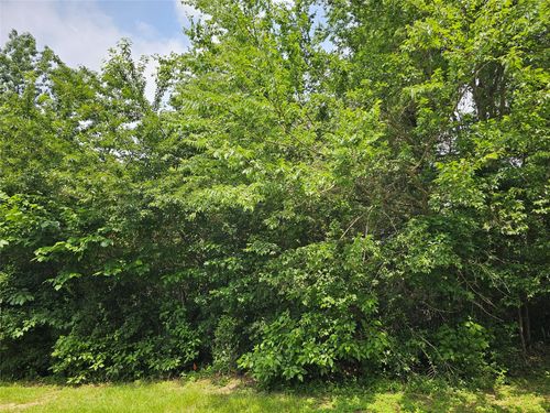 4813 W Fork Blvd, Conroe, TX, 77304-4956 | Card Image