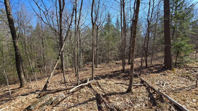 0000 Calabogie Rd, Home with 0 bedrooms, 0 bathrooms and null parking in Burnstown ON | Image 16