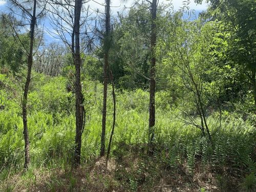 0 County Road 54 E, KATHLEEN, FL, 33849 | Card Image