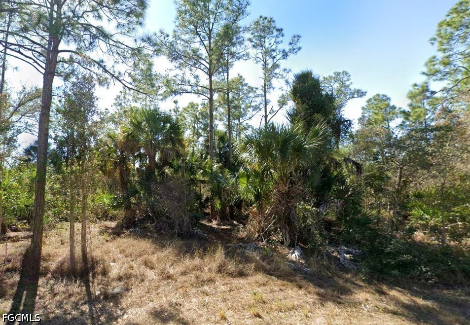 Land in Lehigh Acres